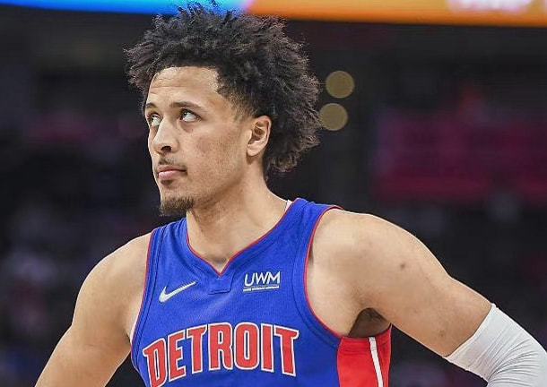 队的橄榄枝 队的橄榄枝